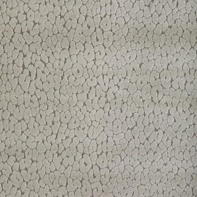 Kravet Design 36763.11.0 Instinctive Upholstery Fabric in Taupe/Grey
