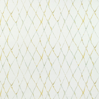 Kravet Design 36773.314.0 Kravet Design Upholstery Fabric in 36773-314/Green/Chartreuse/Yellow