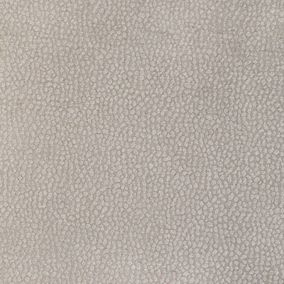 Kravet Design 36812.11.0 Pebble Chenille Upholstery Fabric in Putty/Grey