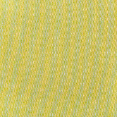 Kravet Basics 36820.23.0 Kravet Basics Multipurpose Fabric in Celery/Green
