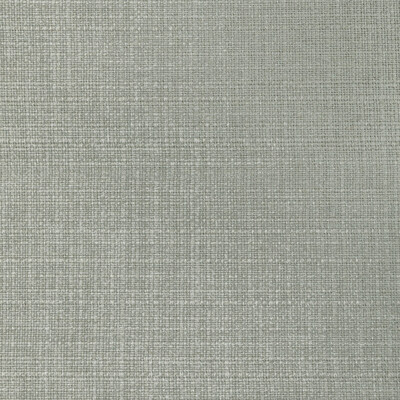 Kravet Basics 36821.11.0 Kravet Basics Multipurpose Fabric in Grey/Light Grey