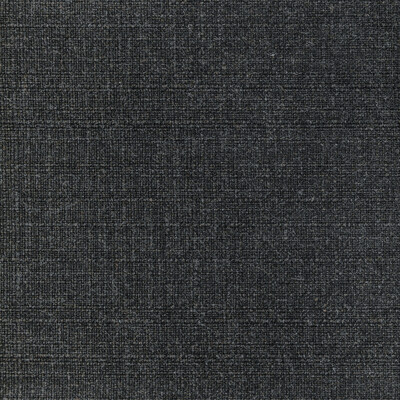 Kravet Basics 36821.8.0 Kravet Basics Multipurpose Fabric in Black/Light Grey
