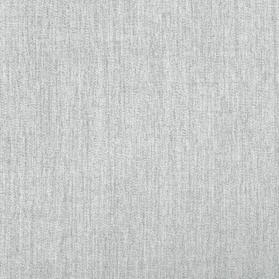 Kravet Basics 36830.11.0 Kravet Basics Multipurpose Fabric in Light Grey/Grey/White