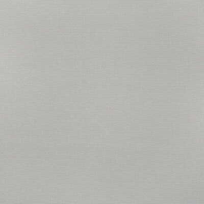 Kravet Basics 36841.11.0 Kravet Basics Multipurpose Fabric in Light Grey/Grey
