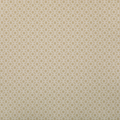 Kravet Design 36875.116.0 Kravet Design Upholstery Fabric in Beige