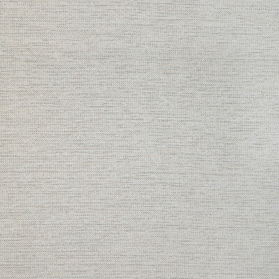 Kravet Design 36882.11.0 Kravet Design Upholstery Fabric in Grey