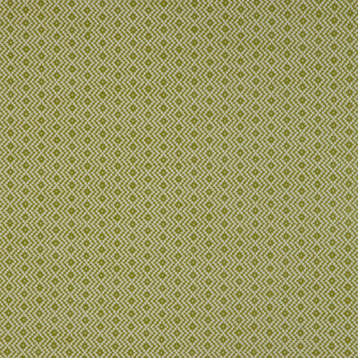 Kravet Design 36884.3.0 Kravet Design Upholstery Fabric in Green