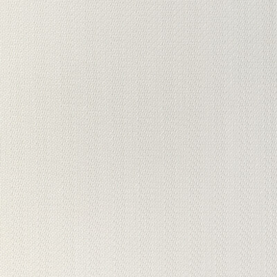 Kravet Couture 36923.101.0 Beachfront Upholstery Fabric in Pearl/White