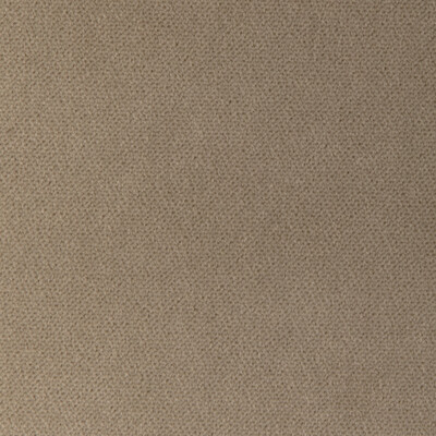 Kravet Design 36956.106.0 Kravet Design Upholstery Fabric in Taupe/Beige