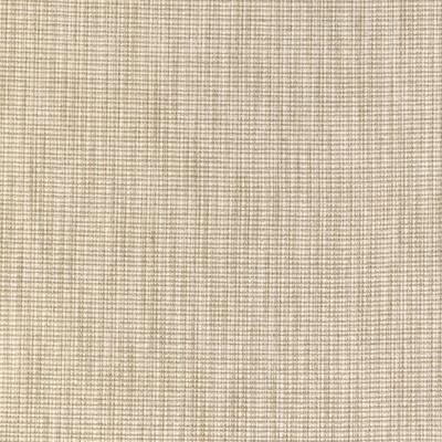 Kravet Design 36958.1614.0 Kravet Design Upholstery Fabric in Beige/Ivory