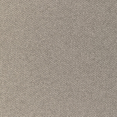 Kravet Design 36976.11.0 Kravet Design Upholstery Fabric in Grey