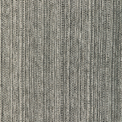 Kravet Smart 37018.811.0 Fabric in Black/Grey