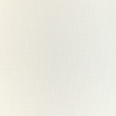 Kravet Design 37049.101.0 Narrows Upholstery Fabric in Chalk/White