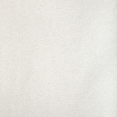 Kravet Design 37052.111.0 Mulford Upholstery Fabric in Salt/White/Grey