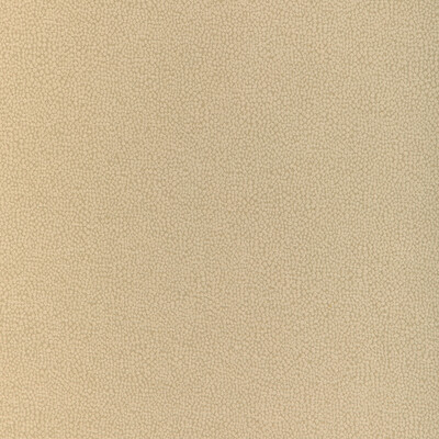 Kravet Design 37052.16.0 Mulford Upholstery Fabric in Amber/Camel/Beige