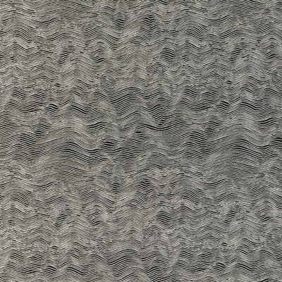 Kravet Design 37056.81.0 Watery Motion Upholstery Fabric in Pepper/Black/White