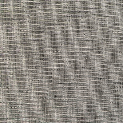 Kravet Design 37099.1101.0 Upholstery Fabric in Grey/White