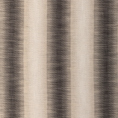 Kravet Design 37118.8.0 Upholstery Fabric in Black/Beige