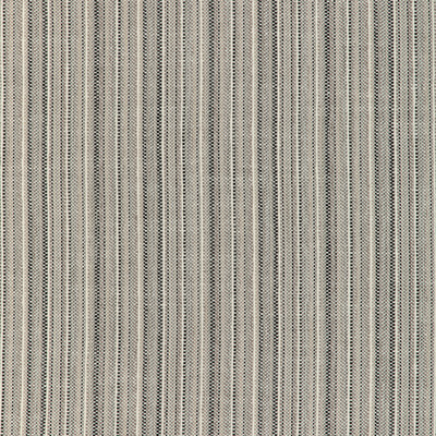 Kravet Design 37148.1121.0 Upholstery Fabric in Charcoal/Grey/White