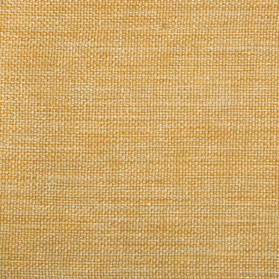 Kravet Contract 4458.4.0 Kravet Contract Drapery Fabric in Gold