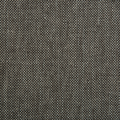 Kravet Contract 4458.811.0 Kravet Contract Drapery Fabric in Black , Grey