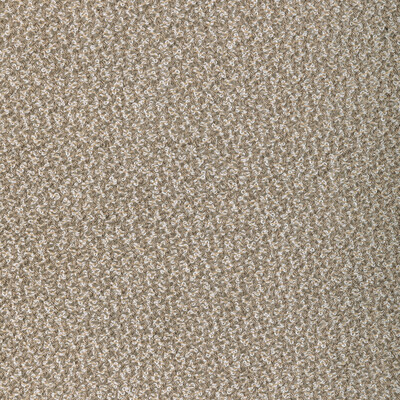 Kravet Couture 4897.106.0 Pebbly Drapery Fabric in Barley/Beige/Taupe/White
