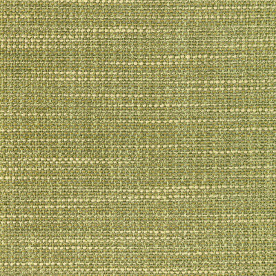 Kravet Contract 4947.314.0 Luma Texture Drapery Fabric in Cactus/Green/Yellow
