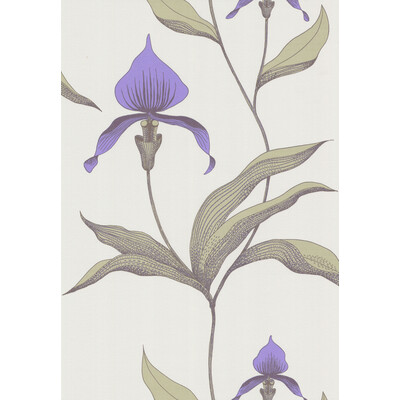 Cole & Son 66/4024.CS.0 Orchid Wallcovering in White/m/White/Purple