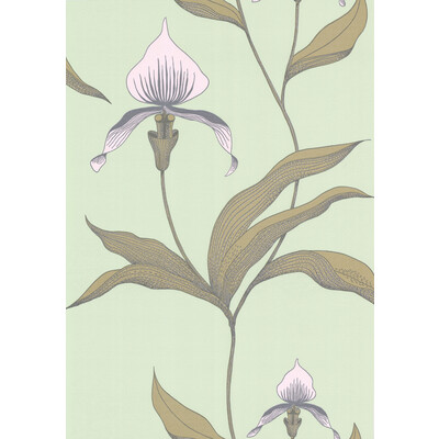 Cole & Son 66/4028.CS.0 Orchid Wallcovering in Pale Gr/Light Green