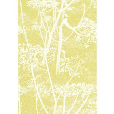 Cole & Son 66/7051.CS.0 Cow Parsley Wallcovering in White/y/Yellow/White