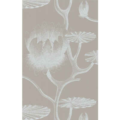 Cole & Son 69/3110.CS.0 Lily Wallcovering in White/grey/White/Grey