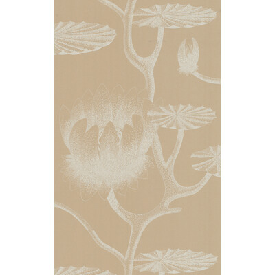 Cole & Son 69/3113.CS.0 Lily Wallcovering in Ivory/sand/Beige