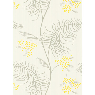 Cole & Son 69/8132.CS.0 Mimosa Wallcovering in White