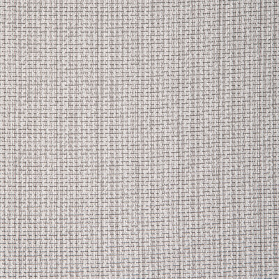 Kravet Basics 90024.11.0 Kravet Basics Drapery Fabric in Grey/White