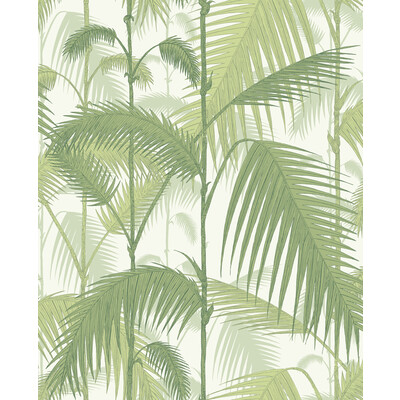 Cole & Son 95/1001.CS.0 Palm Jungle Wallcovering in Olive Gre/white/Green