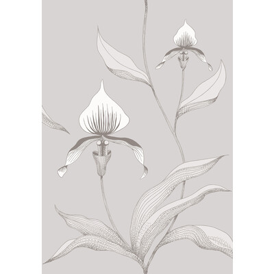 Cole & Son 95/10055.CS.0 Orchid Wallcovering in Grey/white/Grey