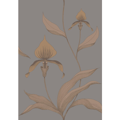Cole & Son 95/10056.CS.0 Orchid Wallcovering in Bronze/slate/Brown