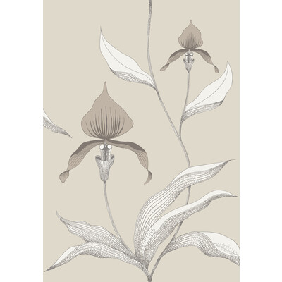 Cole & Son 95/10058.CS.0 Orchid Wallcovering in Linen/white/Beige