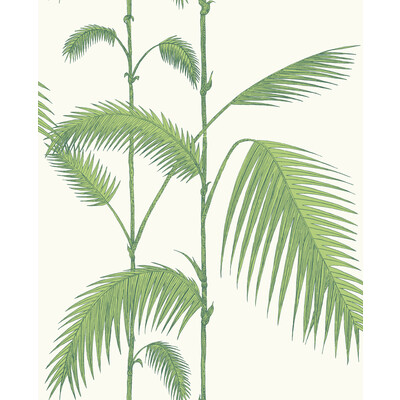 Cole & Son 95/1009.CS.0 Palm Leaves Wallcovering in Green/white/Green/White