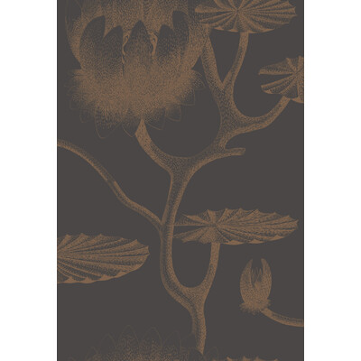 Cole & Son 95/4021.CS.0 Lily Wallcovering in Black/bronze/Brown/Black