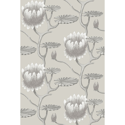 Cole & Son 95/4025.CS.0 Summer Lily Wallcovering in Taupe/white/Beige/White