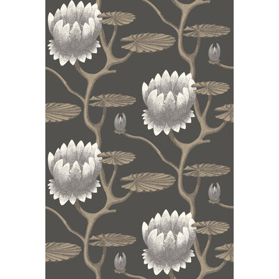 Cole & Son 95/4026.CS.0 Summer Lily Wallcovering in Blk/wht/gold/Black/White/Yellow