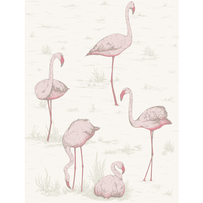 Cole & Son 95/8045.CS.0 Flamingos Wallcovering in Pink/white/Pink