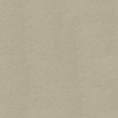 Lee Jofa 960122.1102.0 Ultimate Upholstery Fabric in Putty/Light Grey