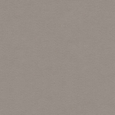 Lee Jofa 960122.1106.0 Ultimate Upholstery Fabric in Foil/Grey