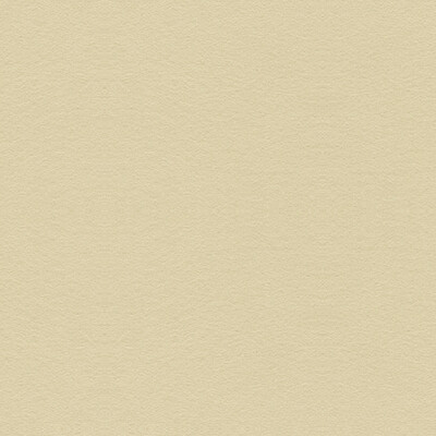 Lee Jofa 960122.1117.0 Ultimate Upholstery Fabric in Cream/White