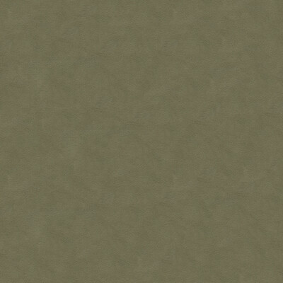 Lee Jofa 960122.1121.0 Ultimate Upholstery Fabric in Mink/Brown/Grey