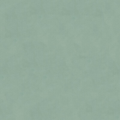 Lee Jofa 960122.135.0 Ultimate Upholstery Fabric in Celadon/Turquoise