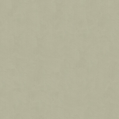 Lee Jofa 960122.2101.0 Ultimate Upholstery Fabric in Ash Grey/Light Grey