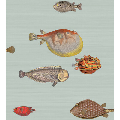 Cole & Son 97/10030.CS.0 Acquario Wallcovering in Pal Bl & Mlt